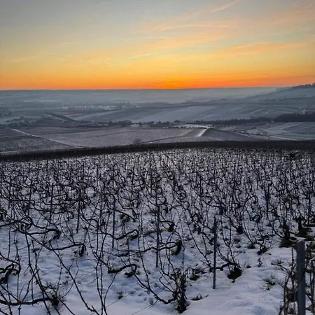 T1 Proche Centre Et Vignes Épernay