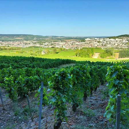 T1 Proche Centre Et Vignes Appartement Épernay