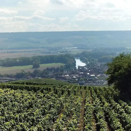 Appartement T1 Proche Centre Et Vignes *